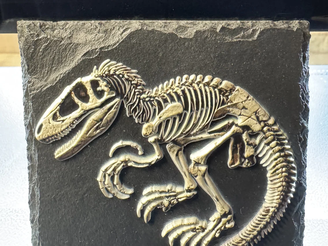 A dinosaur skeleton printed with raised texture on a slate tile